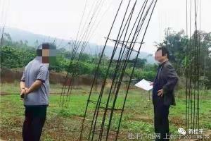 【我为群众办实事】桂平市人民法院：田间地头忙送达 司法便民护法威