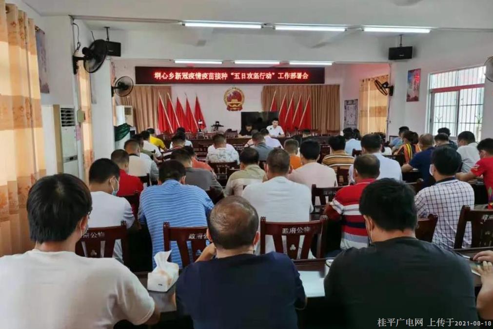 垌心乡：党建引领“四强化” 加速推进疫苗接种