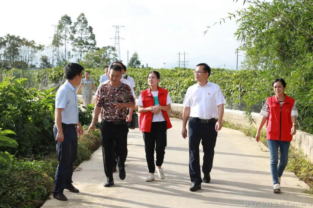 苏英权在桂平市调研时强调：强化党建引领  凸显组织工作服务中心大局的“贡献度”