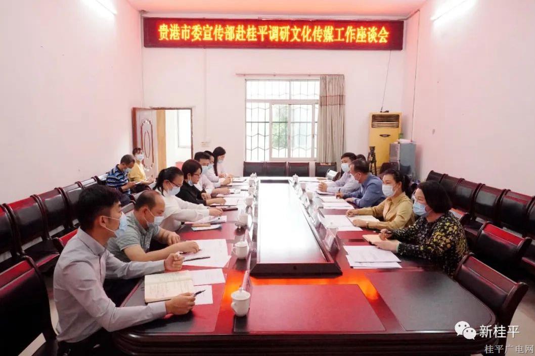 黄锦锋率调研组到桂平市调研文化传媒工作