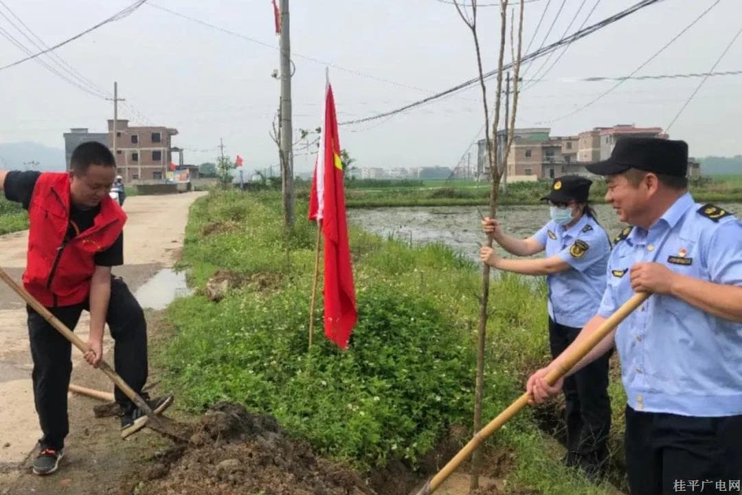 贵港市交通运输局到挂点村开展“美化乡村我行动，乡村振兴齐参与”植树活动