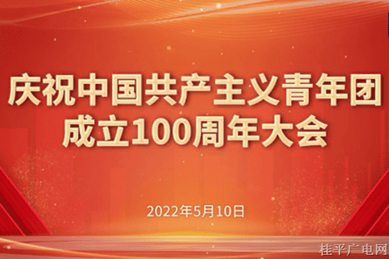 庆祝中国共产主义青年团成立100周年大会