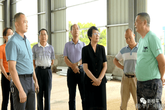 贵港市领导到桂平市开展重大项目调研
