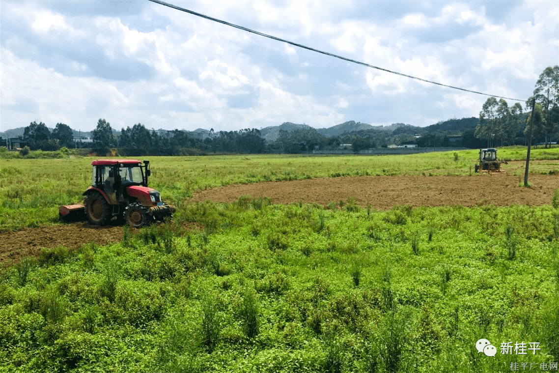 石咀镇抓好撂荒地整治工作