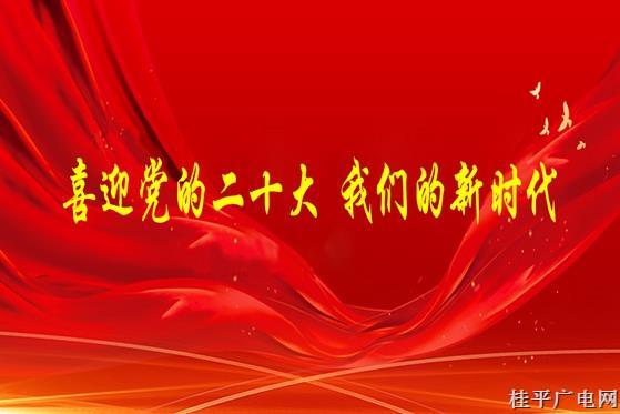 三等奖作品——《中国传统节日“二十四节气”系列公益广告》