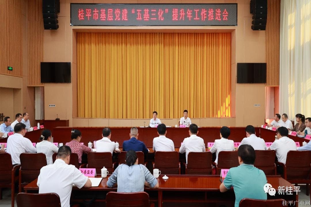 桂平市召开基层党建“五基三化”提升年工作推进会