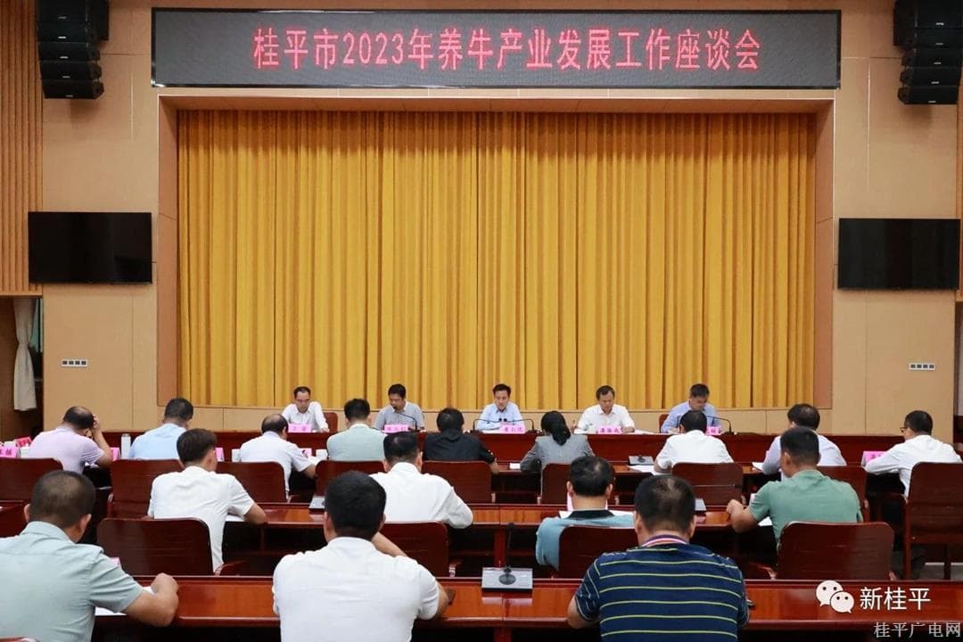 我市召开养牛产业发展工作座谈会