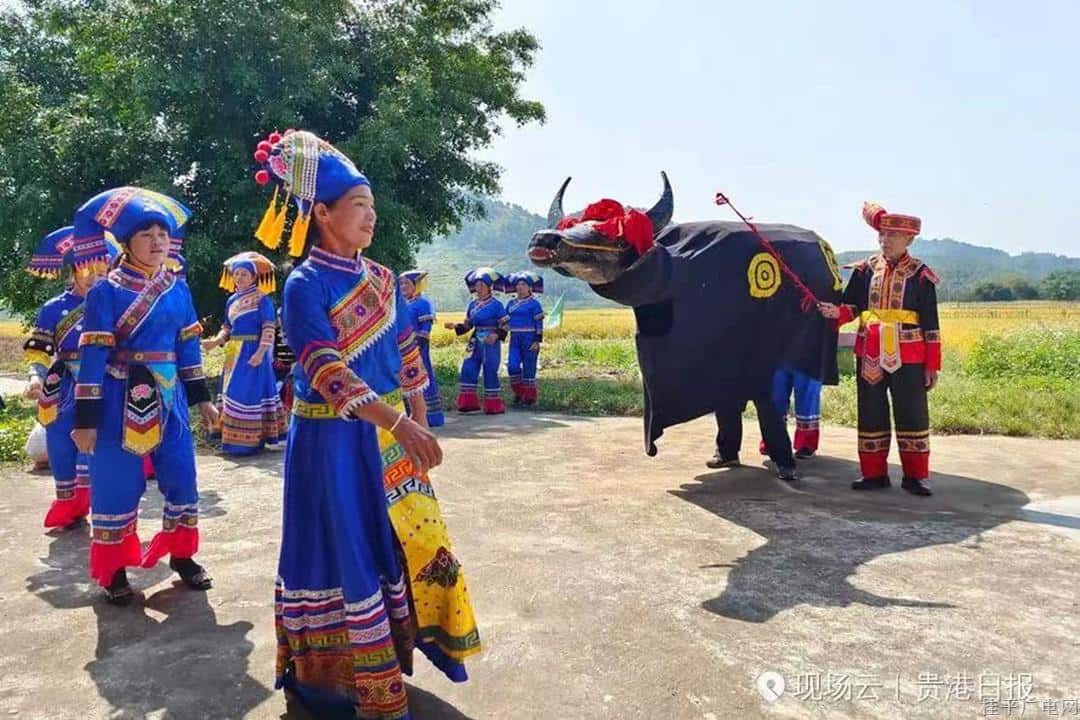 桂平三月三“闹春牛”民俗文化旅游节！全网寻“牛”人，放福利大招：集赞领免费门票！西山、龙潭公园、西山泉等多个景点门票等你来拿！