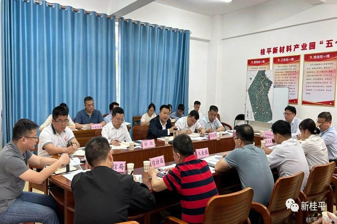 黄德佳深入桂平新材料产业园召开现场办公会