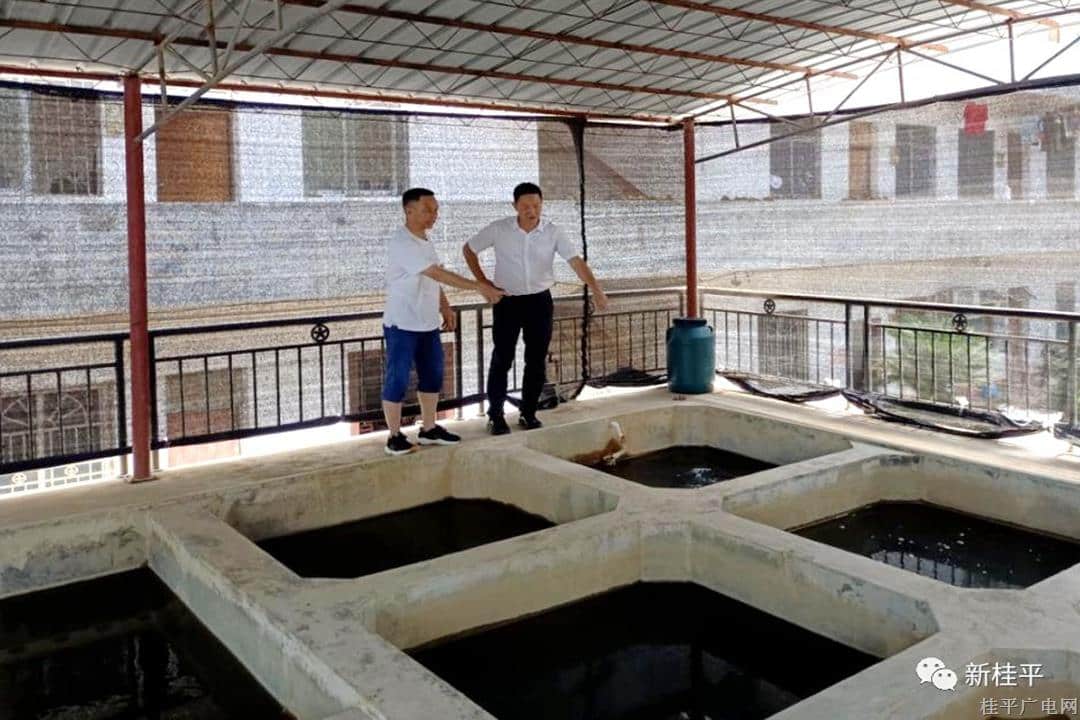 市水利局：强化乡镇饮用水安全管理 筑牢农村饮水安全坚强防线