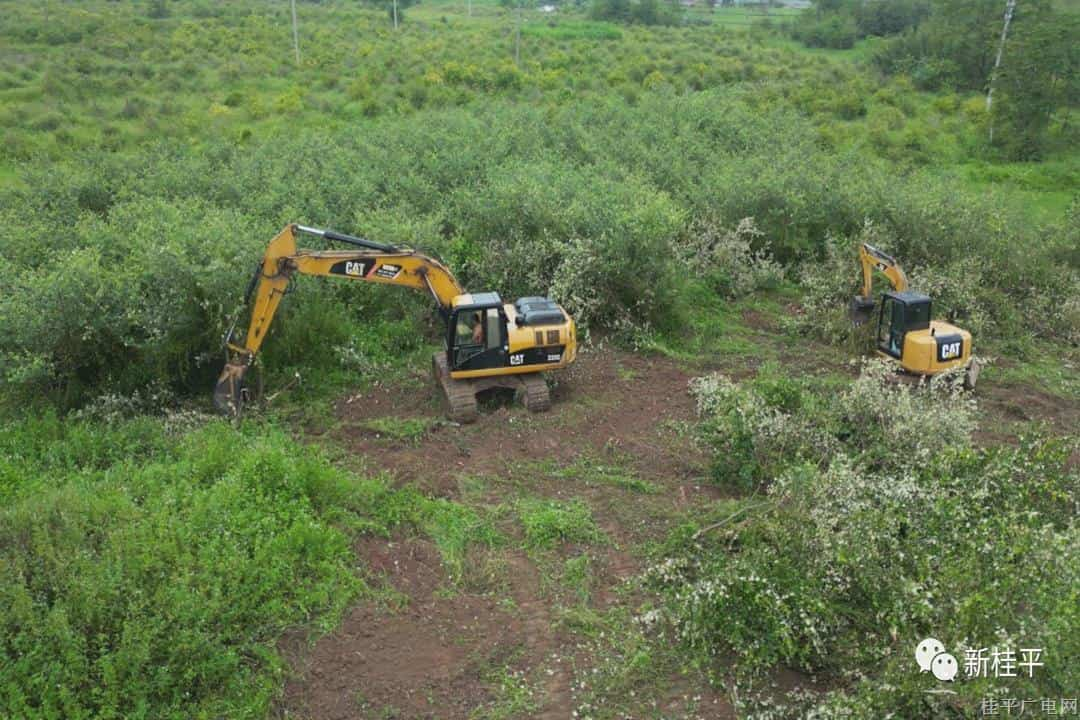 下湾镇：加快推进流失耕地整改恢复工作 严守耕地保护红线