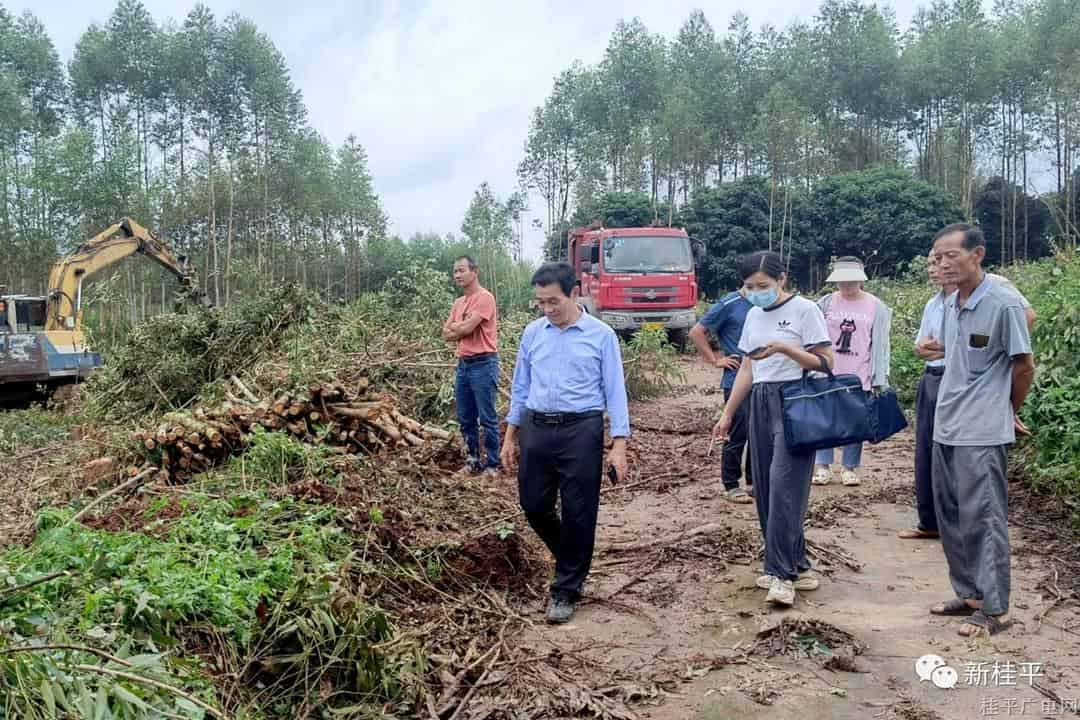 大湾镇：人大代表助力流出耕地整改工作