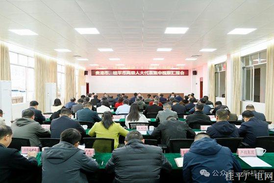 市人大常委会组织人大代表开展集中视察活动