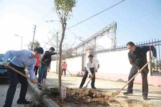 桂平市开展2024年党政军民企义务植树活动