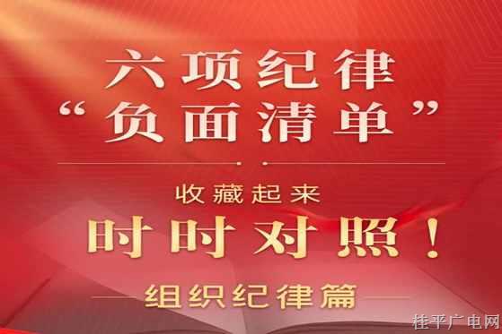 【纪法课堂】六项纪律“负面清单”之组织纪律篇