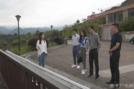 “一带一路”国际合作香港中心暨大湾区香港中心调研组到我市考察调研