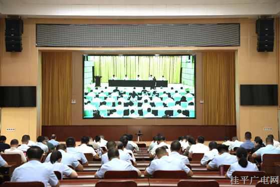 桂平市组织收听收看2024年全区食品药品安全工作会议