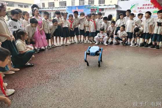 桂平市开展“全国科技工作者日”快乐科普进校园志愿服务活动