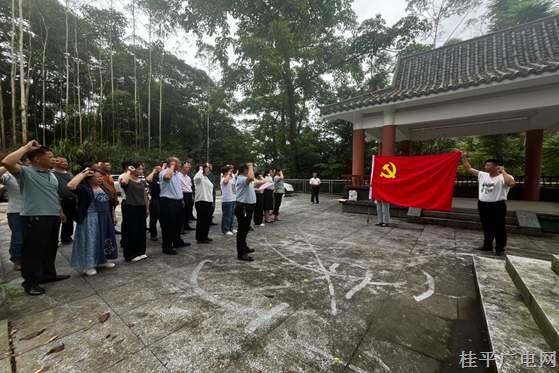 桂平市各部门、乡镇开展庆“七一”系列活动