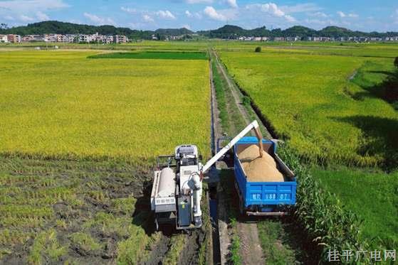 桂平：机械化助力早稻夏收