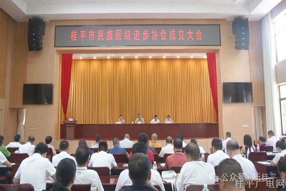 桂平市民族团结进步协会成立大会召开