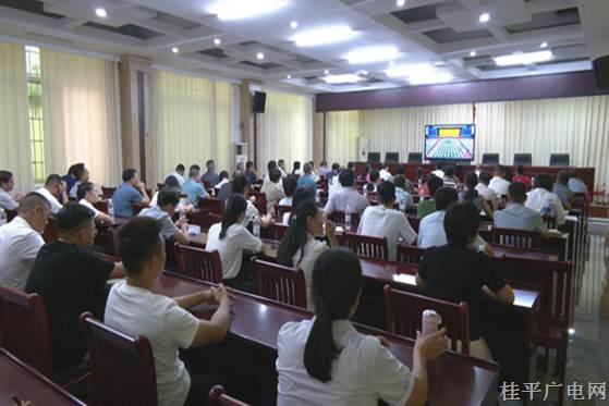 学习贯彻党的二十届三中全会精神中央宣讲团报告会在桂平引起热烈反响